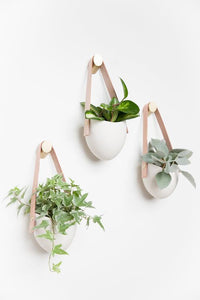 Light and Ladder Hanging Planter, Small
